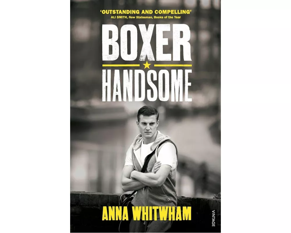 Boxer Handsome