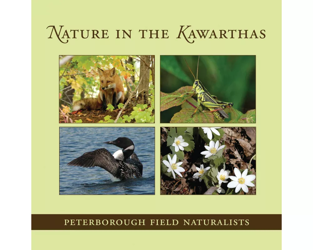 Nature in the Kawarthas