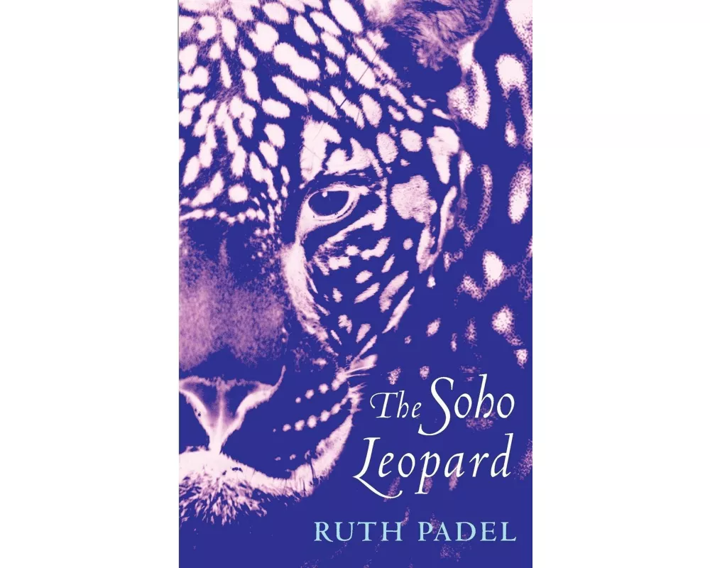 The Soho Leopard
