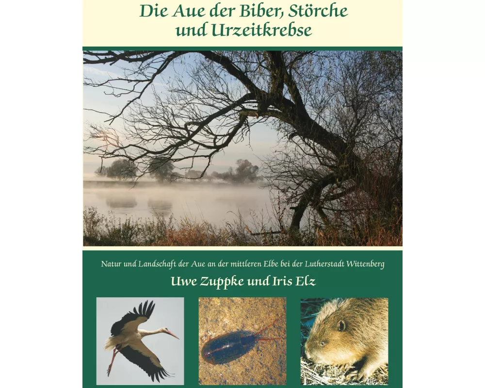 Die Aue der Biber, Störche und Urzeitkrebse
