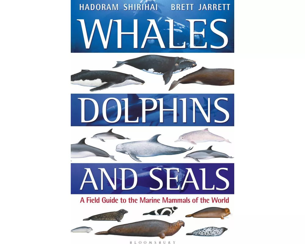 Whales, Dolphins and Seals