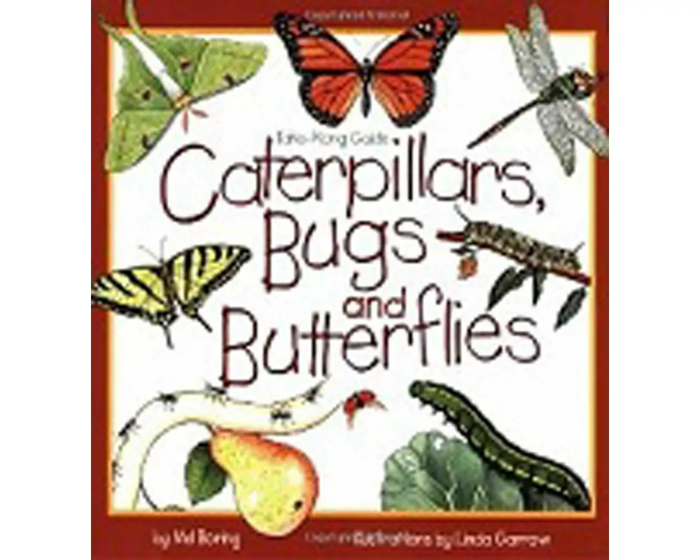 Caterpillars, Bugs and Butterflies