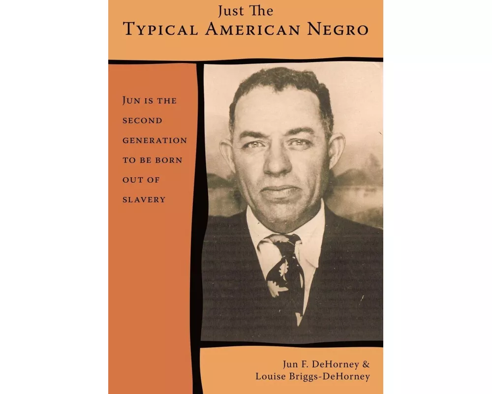 Just The Typical American Negro