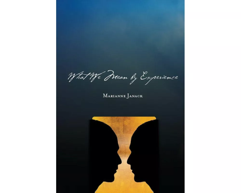 What We Mean by Experience