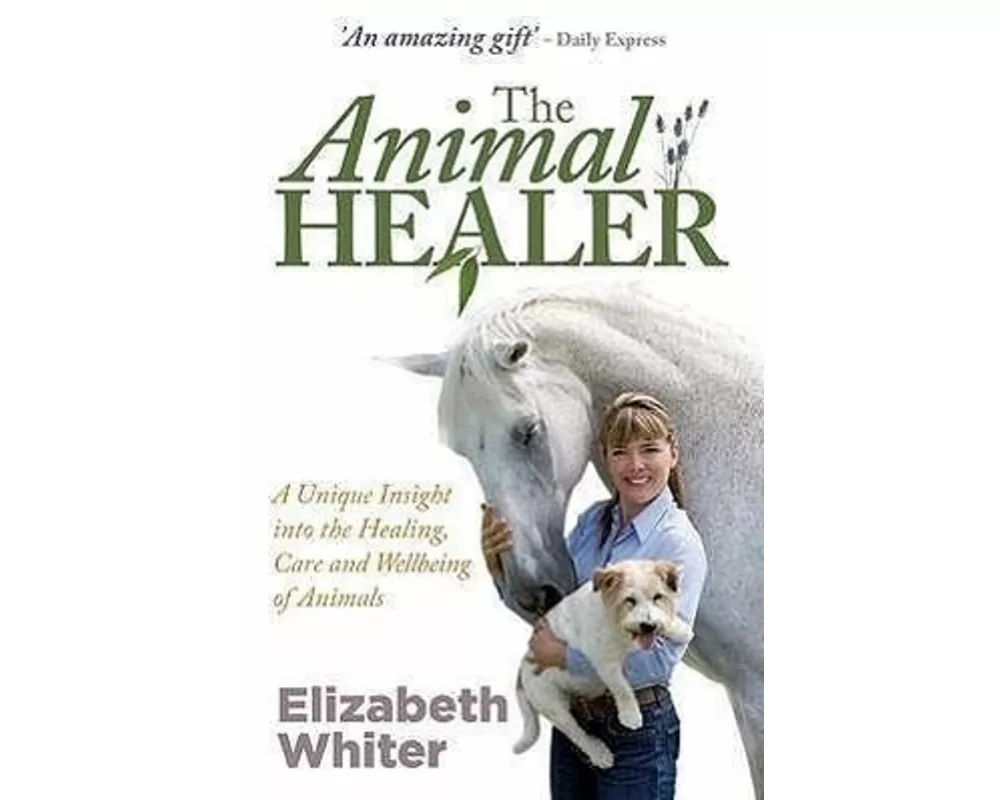 The Animal Healer