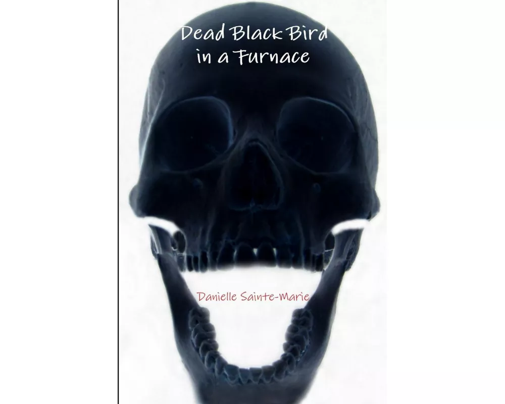 Dead Black Bird in a Furnace