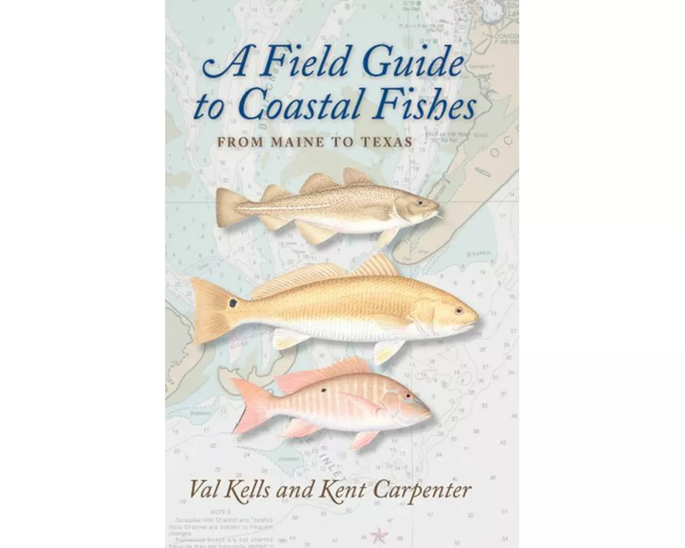 A Field Guide to Coastal Fishes