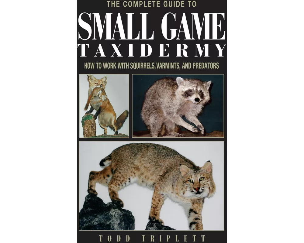 Complete Guide to Small Game Taxidermy