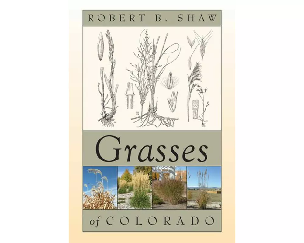 Grasses of Colorado