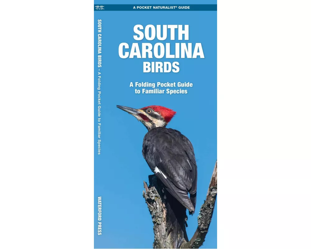 South Carolina Birds