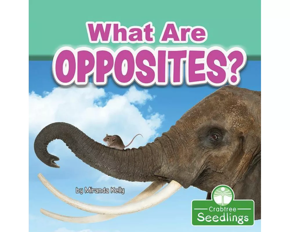 What Are Opposites?
