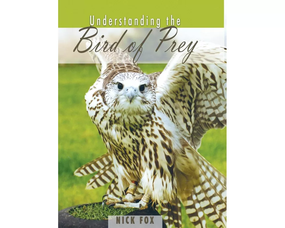 Understanding the Bird of Prey