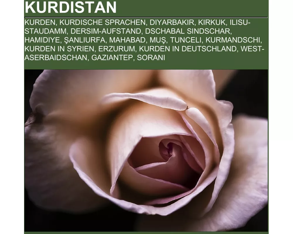 Kurdistan