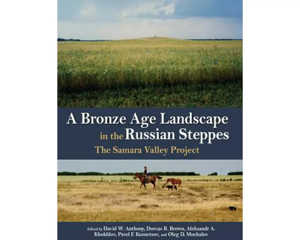 A Bronze Age Landscape in the Russian Steppes