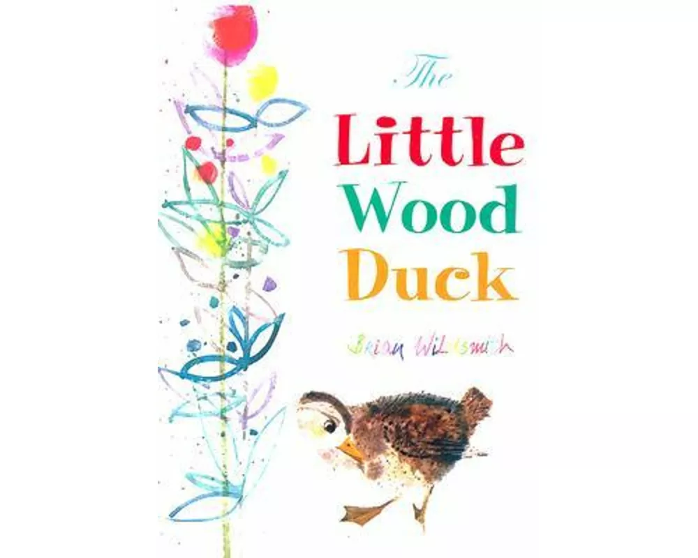 The Little Wood Duck