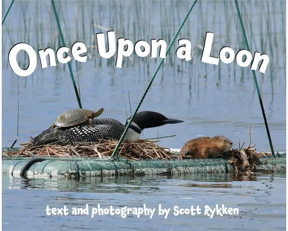 Once Upon a Loon