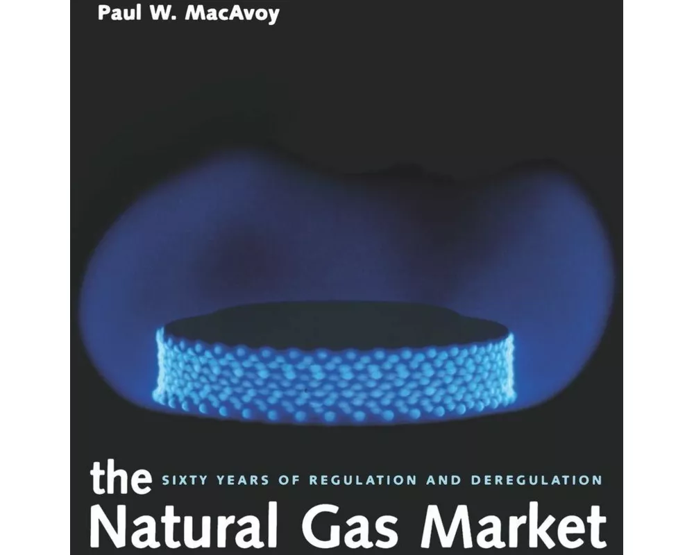 The Natural Gas Market