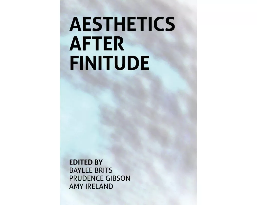 Aesthetics After Finitude