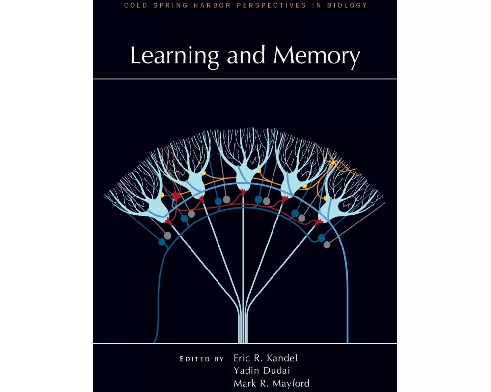 Learning and Memory