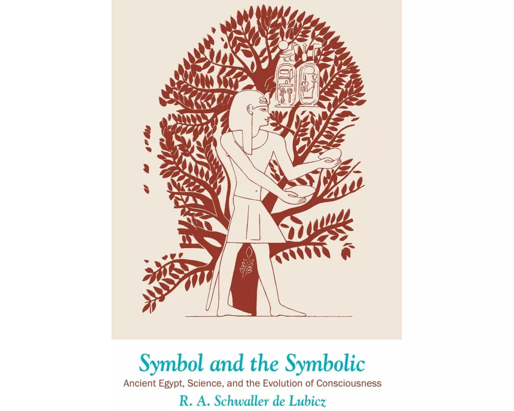 Symbol and the Symbolic