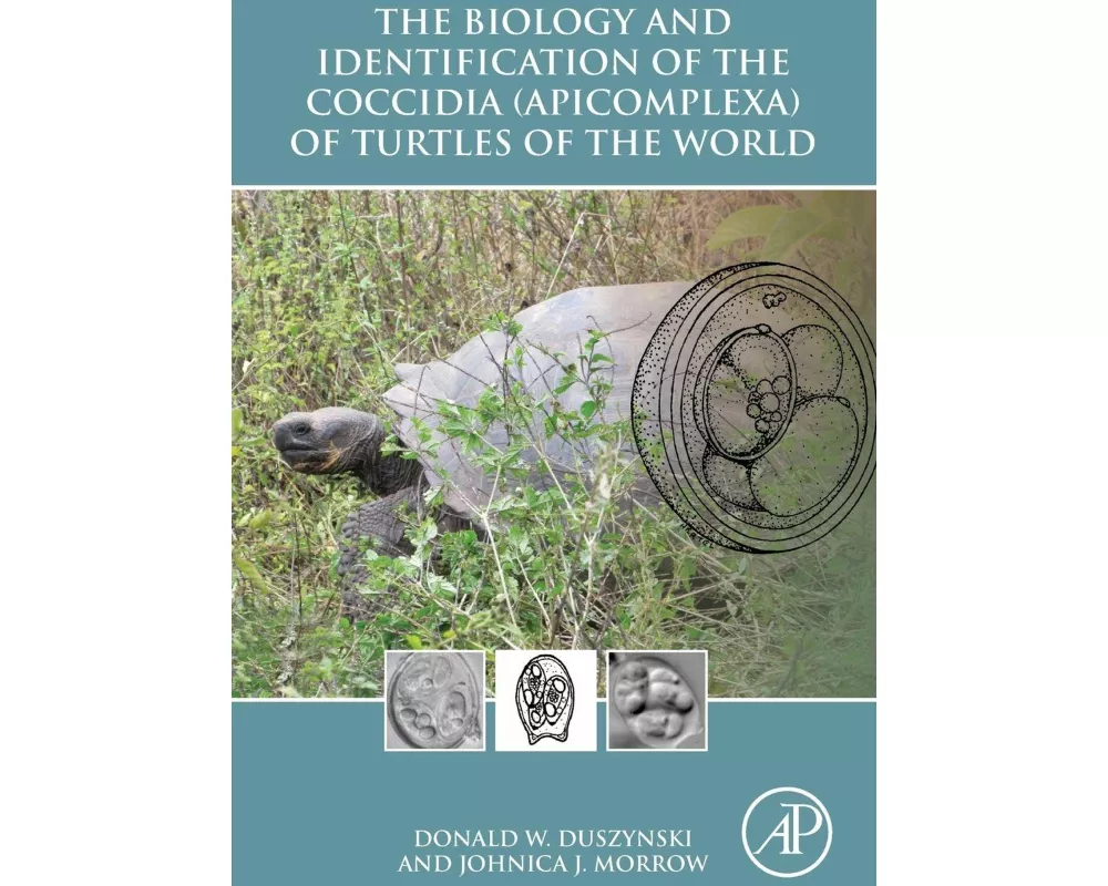 The Biology and Identification of the Coccidia (Apicomplexa) of Turtles of the World