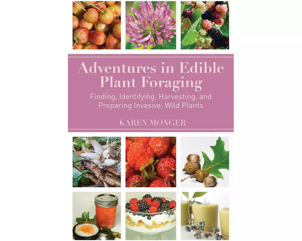 Adventures in Edible Plant Foraging