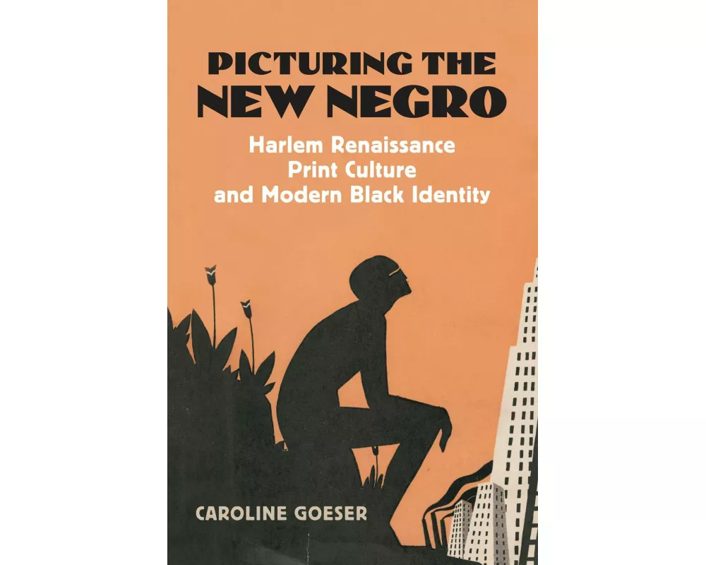 Picturing the New Negro