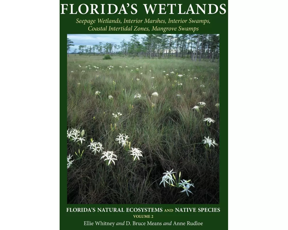 Florida's Wetlands