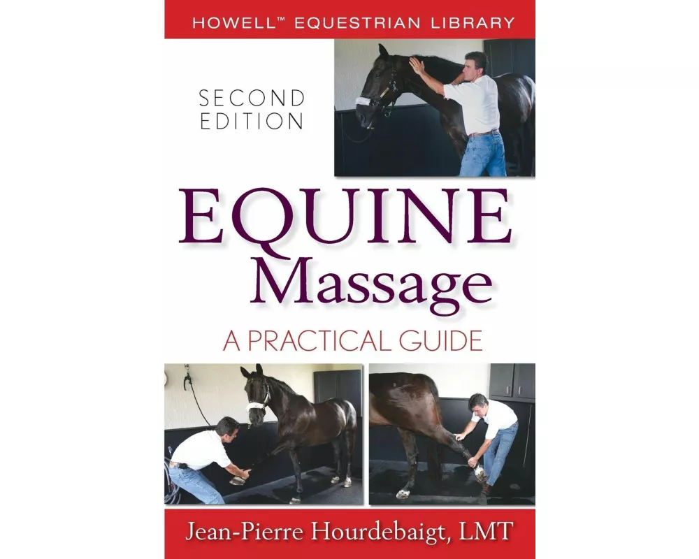 Equine Massage