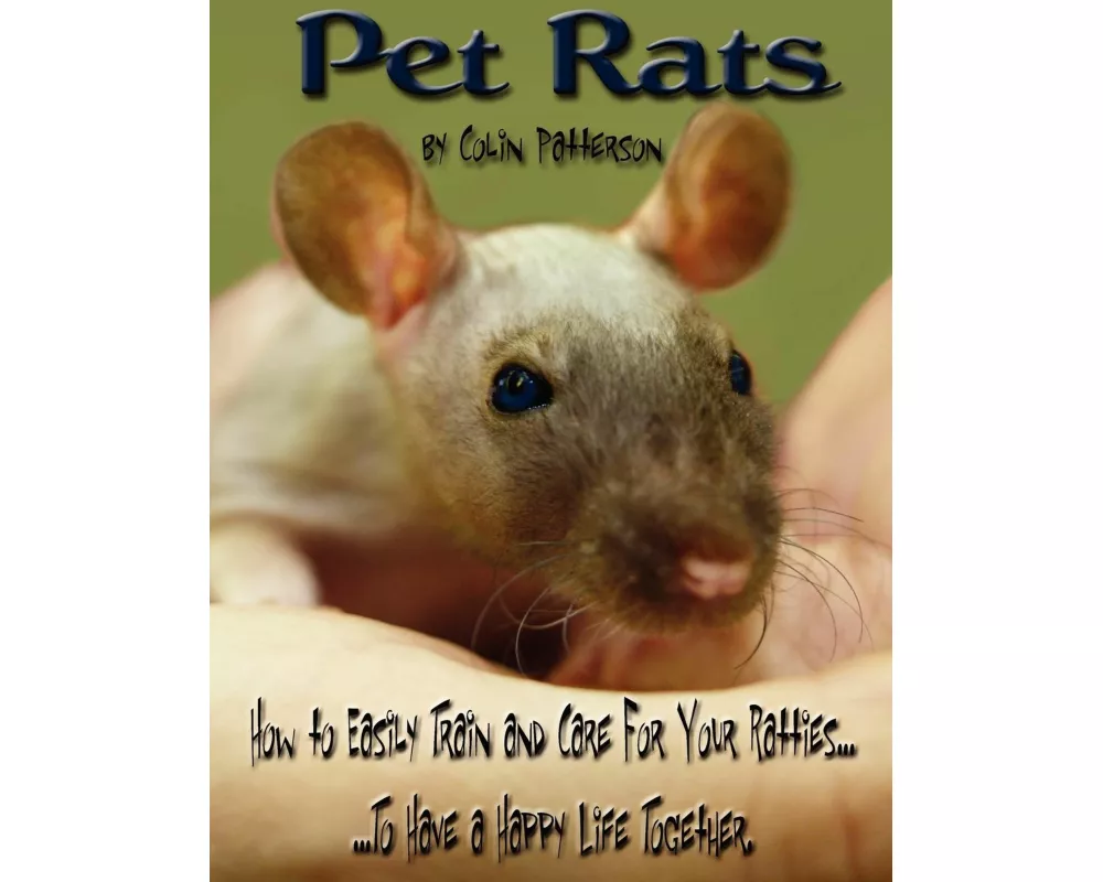 Pet Rats