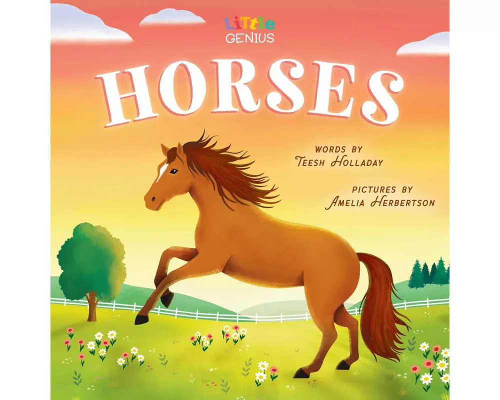 Little Genius Horses