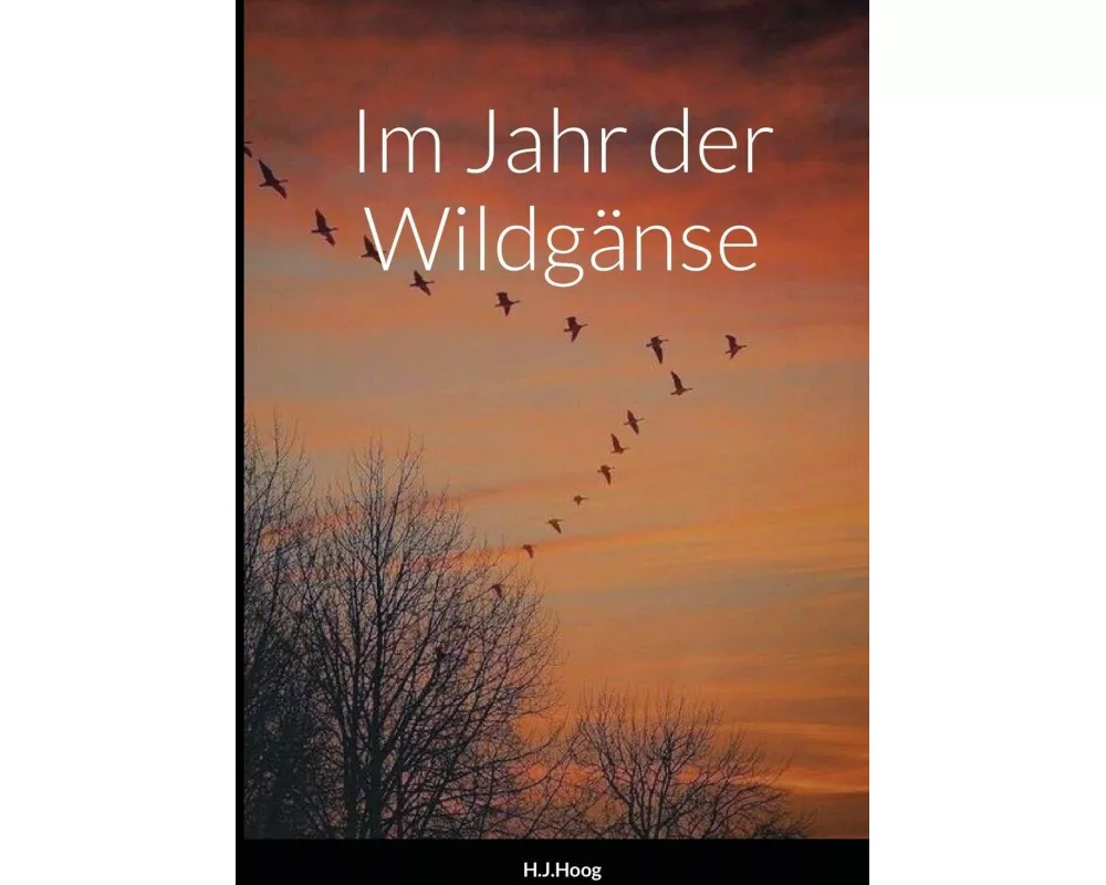 Im Jahr der Wildgänse