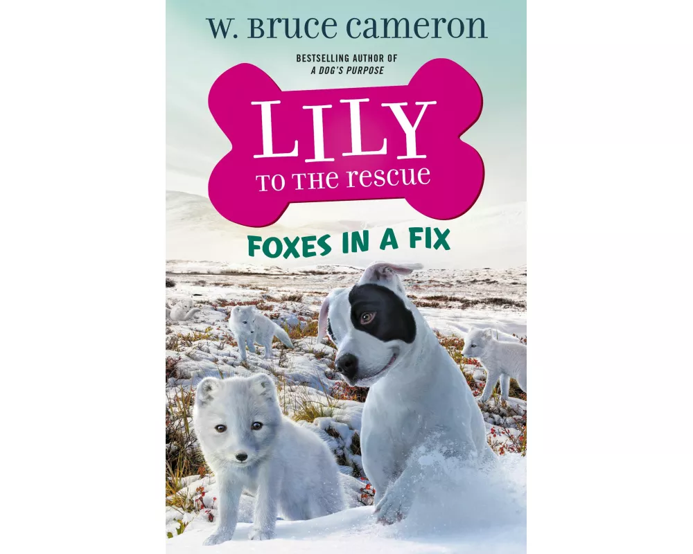 Lily to the Rescue: Foxes in a Fix