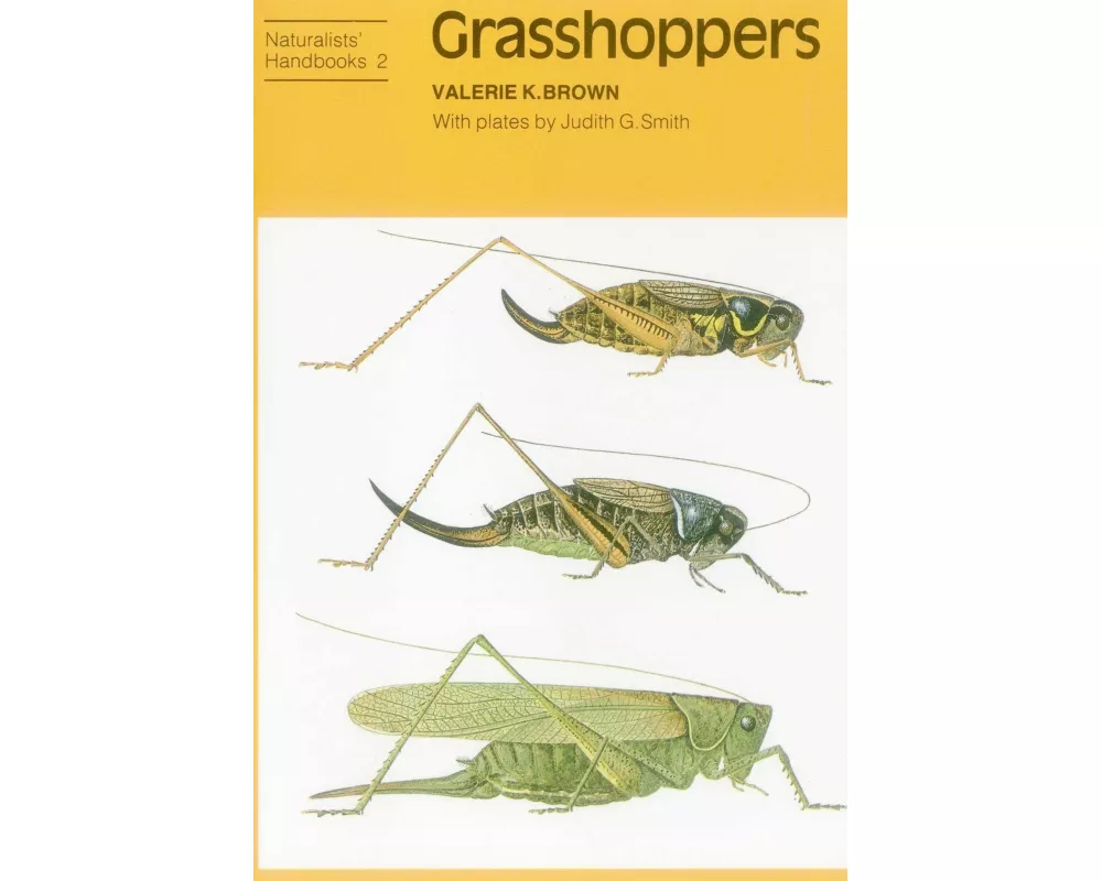 Grasshoppers