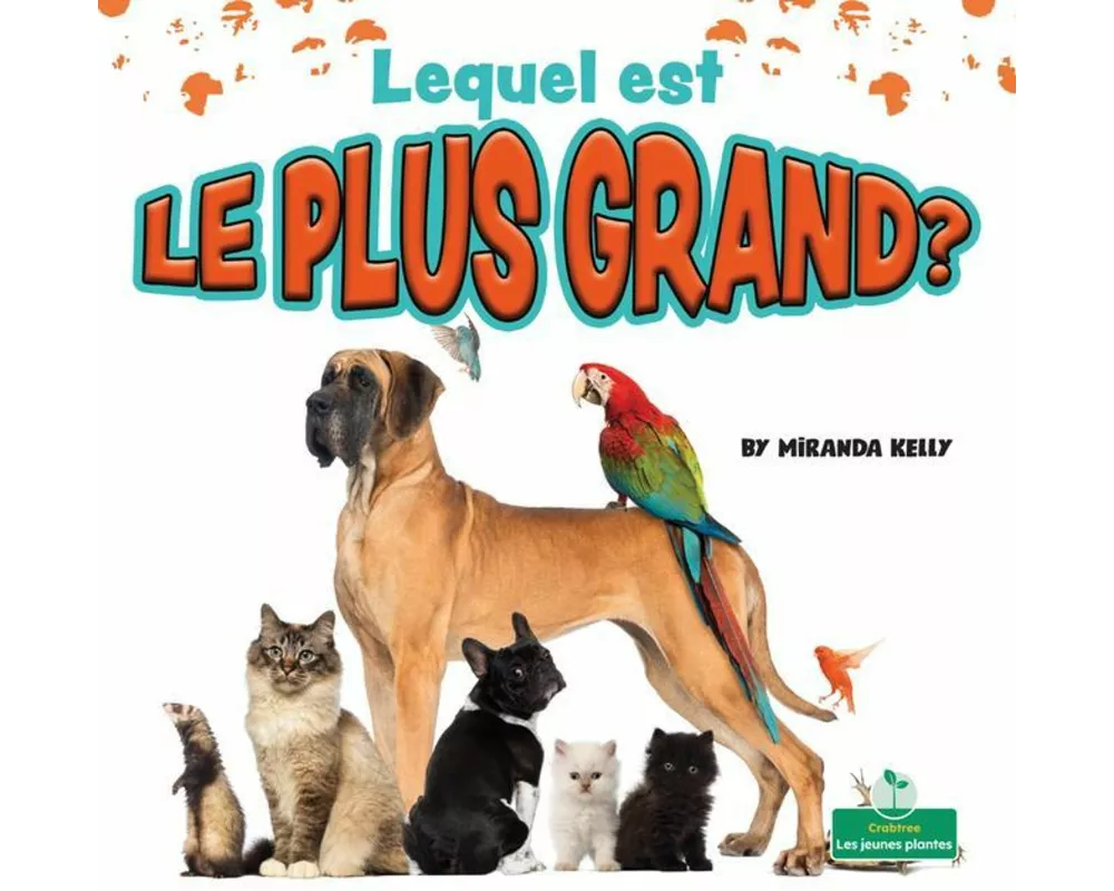 Lequel Est Le Plus Grand? (Which Is Biggest?)