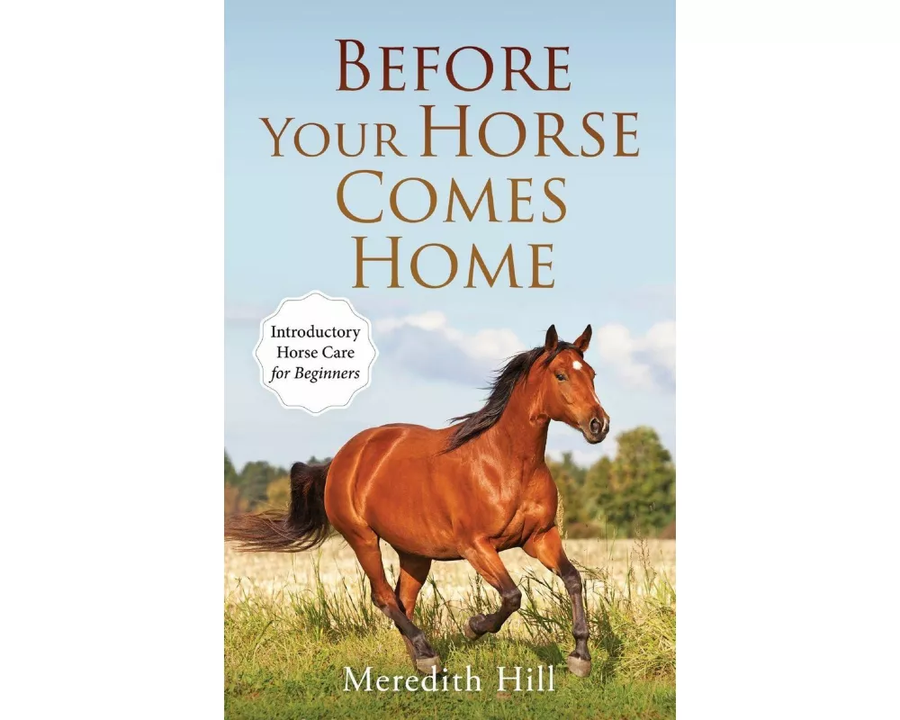 Before Your Horse Comes Home