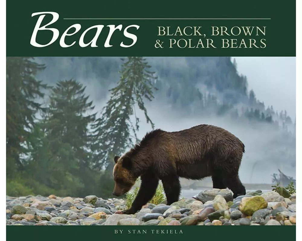 Bears