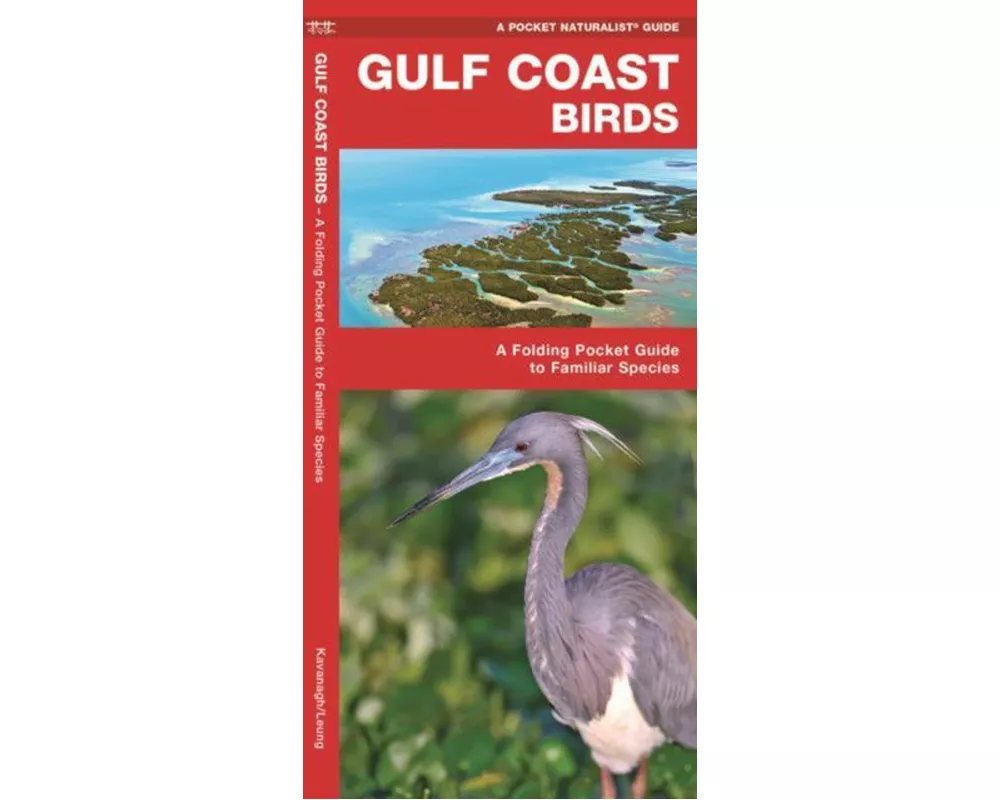 Gulf Coast Birds