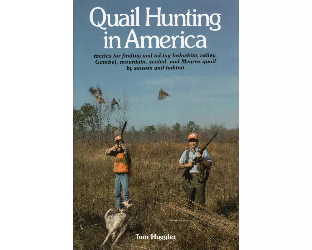 Quail Hunting in America