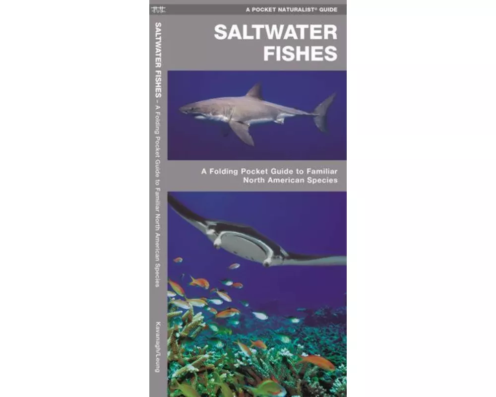 Saltwater Fishes