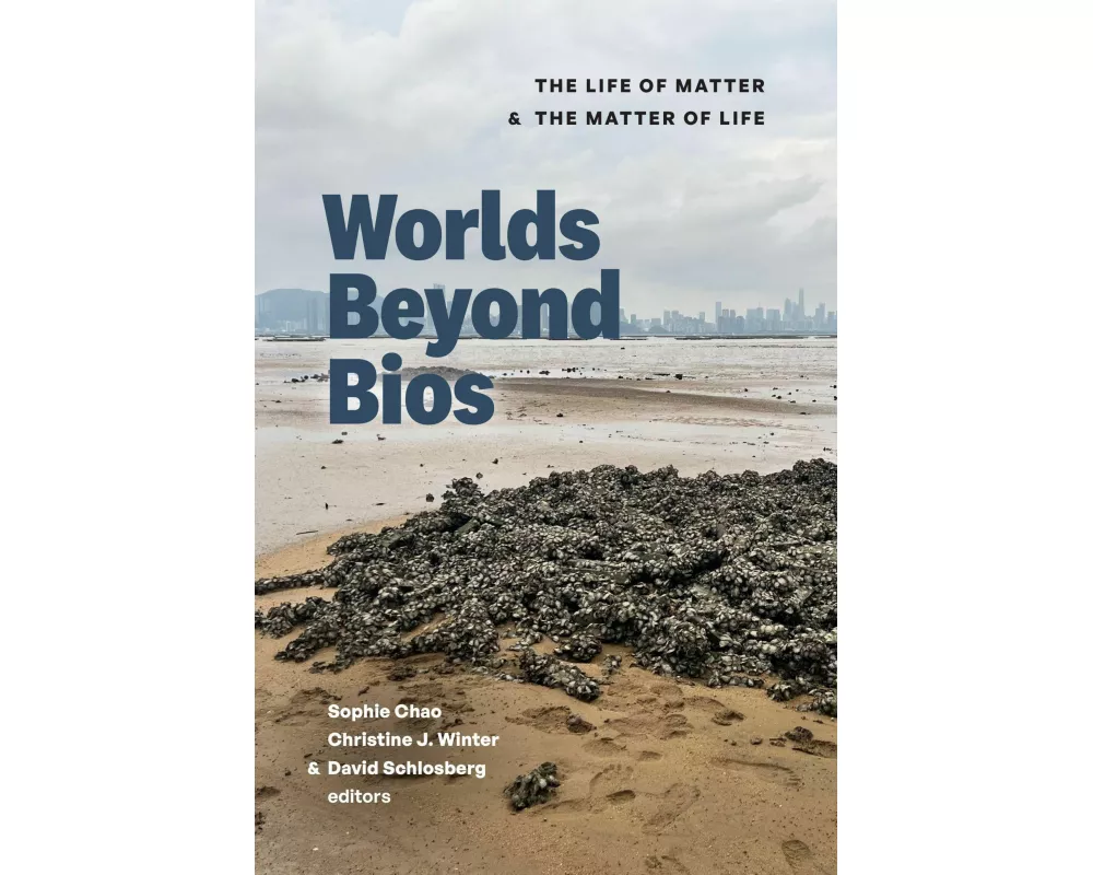 Worlds Beyond BIOS