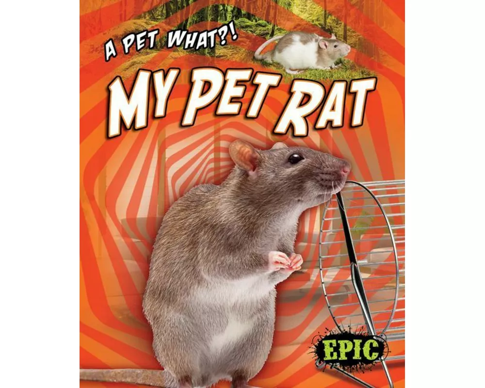 My Pet Rat