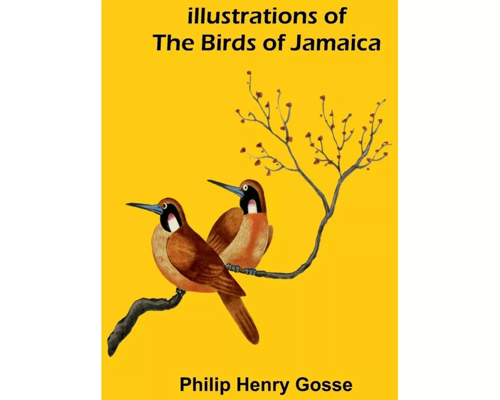 Illustrations Of The Birds Of Jamaica