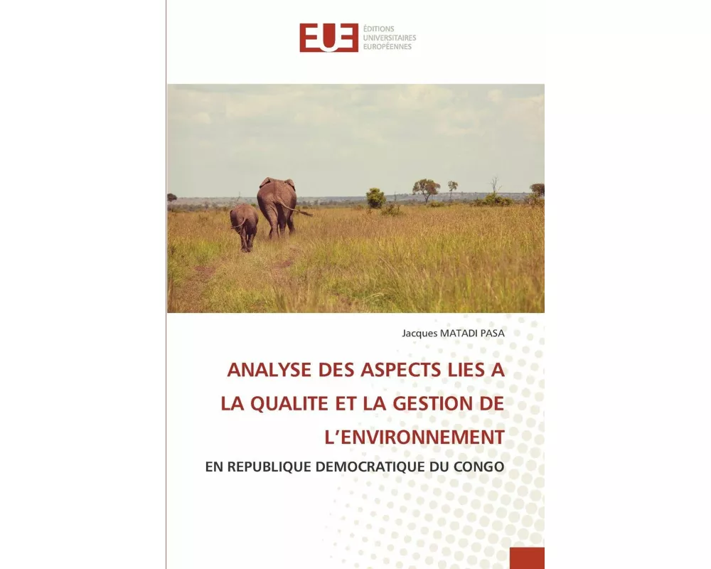 Analyse Des Aspects Lies A La Qualite Et La Gestion De L'environnement