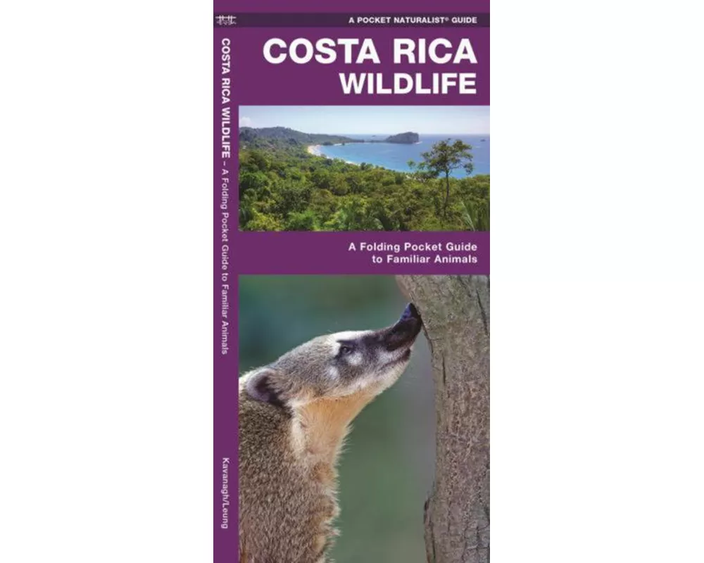 Costa Rica Wildlife