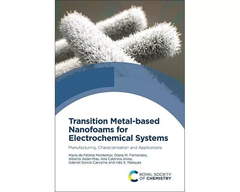 Transition Metal-Based Nanofoams for Electrochemical Systems