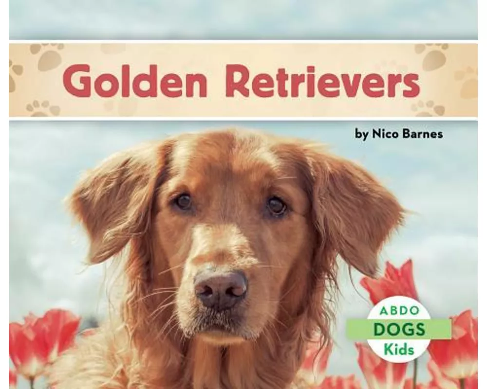 Golden Retrievers