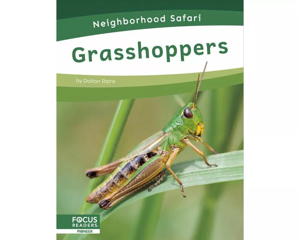 Grasshoppers