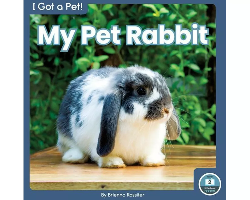 My Pet Rabbit
