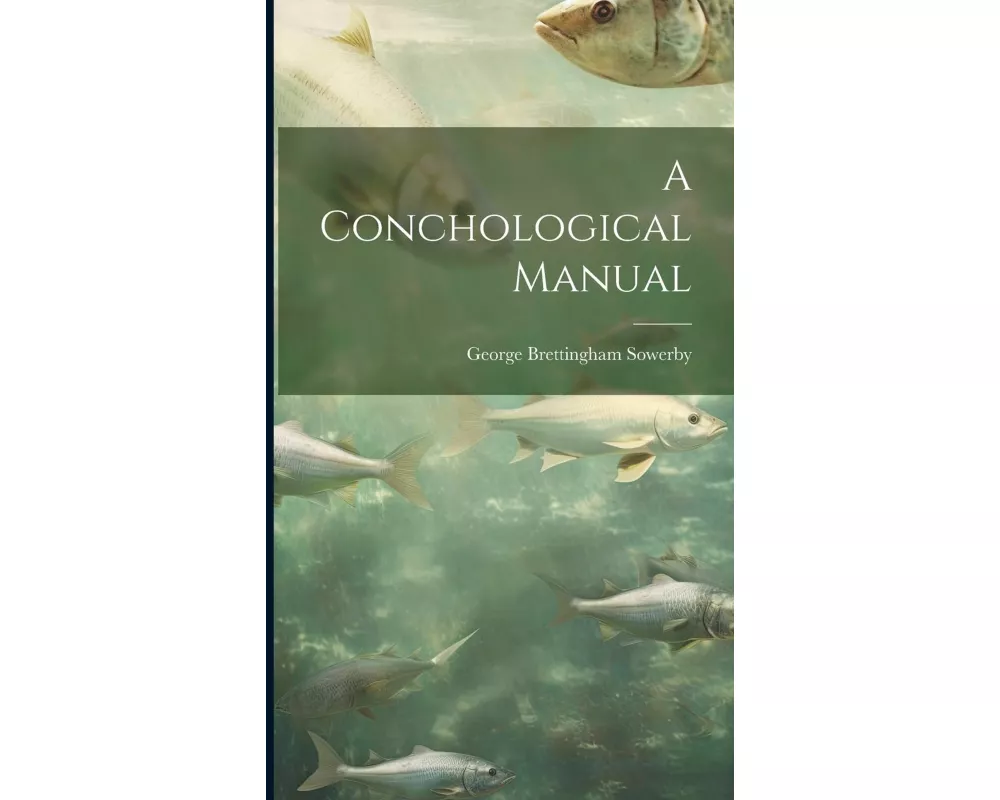 A Conchological Manual